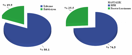 4. BULGULAR 4.1. İyileşme ve Enfeksiyon Grupları Çalışmaya katılan olguların yaş ortalaması (±SS) 67 (±8) yıl idi. Çalışmaya dahil edilen 151 olgudan 10 u çalışmada takiplere gelmedikleri için düştü.