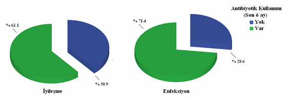 Şekil 4.6. İki gruptaki olguların hastalık dağılımlarının pasta grafikleri. İyileşme grubunda son 6 ay içinde antibiyotik kullanmayan 44 (% 38.9) olgu, antibiyotik kullanan 69 (% 61.1) olgu vardı.