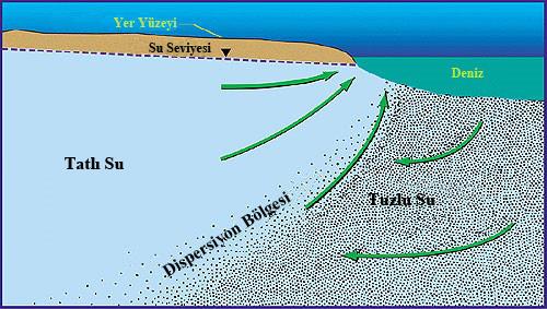 tatlı su ve tuzlu su karışımı içinde bir geçiş bölgesi olarak ifade edilir. Şekil 2.4 te tipik bir kıyı akifer sistemi şematik olarak gösterilmektedir.