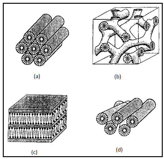 arttırılabilir veya azaltılabilir [27]. Yüzey aktif madde/silisyum oranı da malzeme yapılarının belirlenmesinde önemli bir rol oynamaktadır (Şekil 2.5) [44]. Şekil 2.