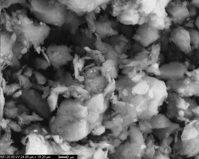 Arıtma çamurunun mikroyapısal özelliği SEM ile incelenmiştir. Şekil 6.4 de verilen SEM görüntüleri incelendiğinde, düzensiz parçacık boyutuna sahip çeşitli kristaller dikkat çekmektedir. Şekil 6. 4 Arıtma çamurunun SEM görüntüsü Arıtma çamurunun yapılan çok noktalı BET analizine göre yüzey alanı 4.