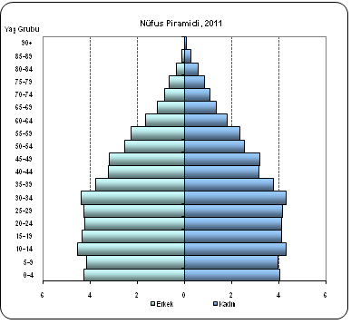 Nüfusun % 67,4 ü 15 ile 64 yaşları arasındadır. 15-64 yaş grubunda bulunan çalışma çağındaki nüfus (50.346.979 kişi), toplam nüfusun % 67,4 ünü oluşturmaktadır. Ülkemiz nüfusunun % 25,3 ü (18.886.