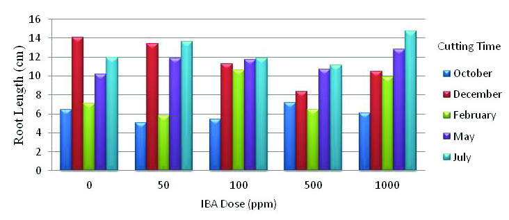 Çelik ve ark. / Anadolu Tarım Bilim. Derg. /Anadolu J Agr Sci 30 (2015) 215-220 number from 11.47 to 32.96 but higher doses like 1000 ppm slightly lowered the root number.