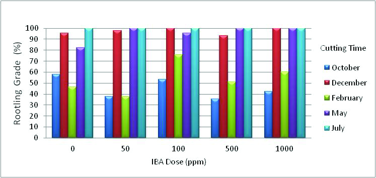 Çelik ve ark. / Anadolu Tarım Bilim. Derg. /Anadolu J Agr Sci 30 (2015) 215-220 Figure 4.