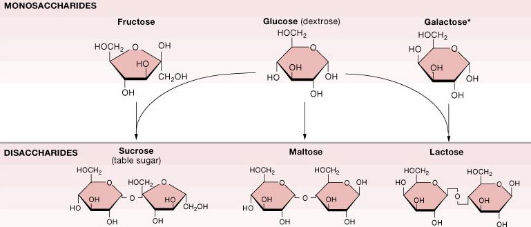 MONOSAKKARİDLER Früktoz Glikoz (dekstroz)