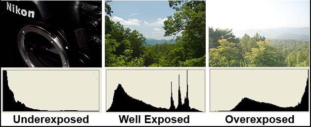 Üç Değişik Histogram Örneği Histogram bize