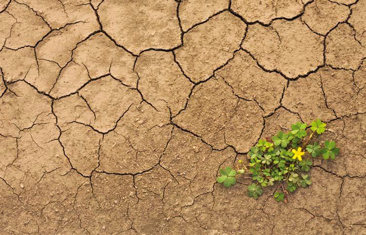 İklim Değişimi, Tarım ve Beslenme Yönetici Özeti SENARYO Birleşmiş Milletler İklim Değişikliği Çerçeve Sözleşmesi (UNFCCC) tarafından kullanılan tanıma göre iklim değişikliği, iklim durumunda -