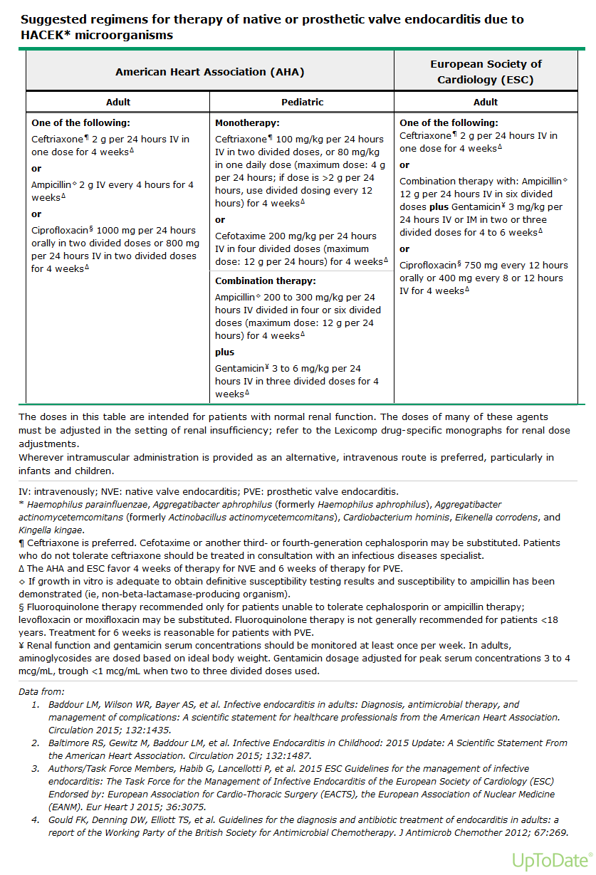 *Haemophilus spp,aggregatibacter(actinobacillus