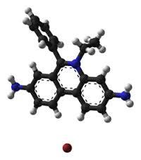 Kimyasal Mutajenler Nükleotit baz analogları (Bromourasil, 2- aminopürin