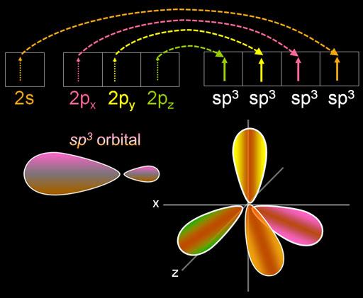 C nun SP 3 Hibritleşmesi C atomunun sp 3 hibridize formuna tetrahedron modeli denir.