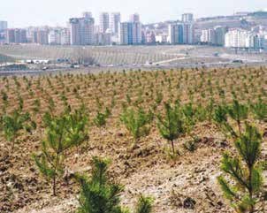 Çölleşmeyle Mücadelede Türkiye den Büyük Adım UNCCD COP 12 nin başkanlığını yürüten Orman ve Su İşleri Bakanı Prof. Dr.