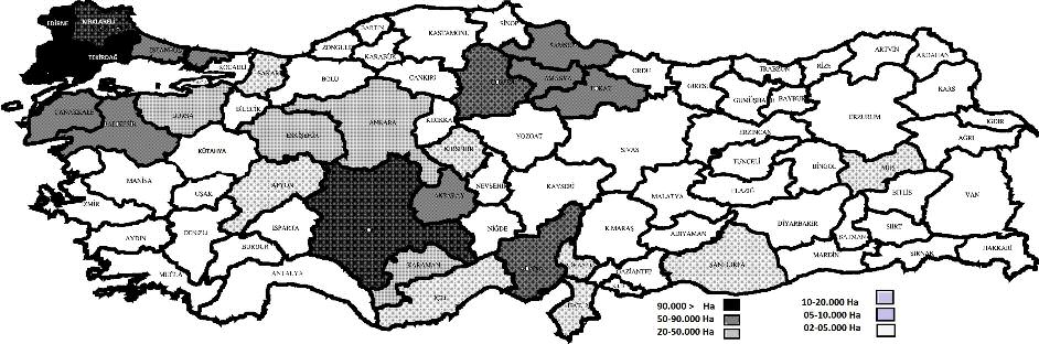 Kaya The Current Situation and Future Direction of Oil Type Sunflower Production in Turkey Giriş ağlık ayçiçeği adaptasyonu oldukça yüksek Y olduğundan ülkemizin birçok yöresinde rahatlıkla