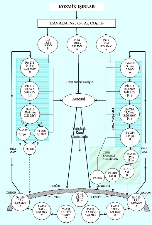 fiekil 1 Do al radyonüklitlerin oluflumu, radyoaktif bozunmalar ve yay lmalar Kozmik fl nlar havadaki atom çekirdekleriyle çarp - flarak radyoaktif H-3, C-14 ve Be-7 üretirken, yer kabu undan