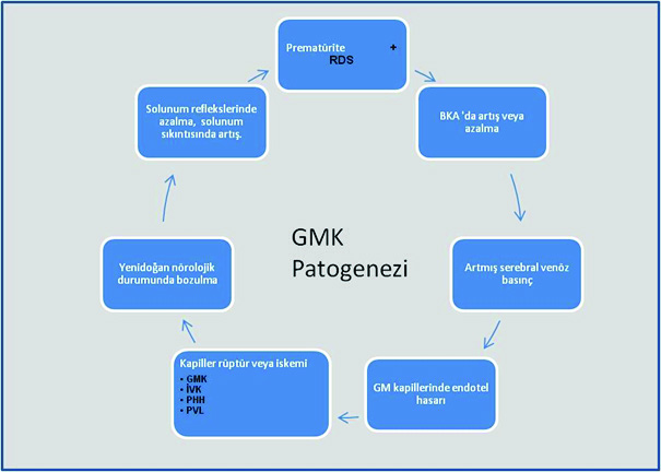 rasyon, rektal ısı ölçümü veya kan alma gibi rutin işler) sayılabilir (12,13). GM in periventriküler lokalizasyonu nedeniyle kanama transependimal olarak lateral ventriküler içine yayılabilir.