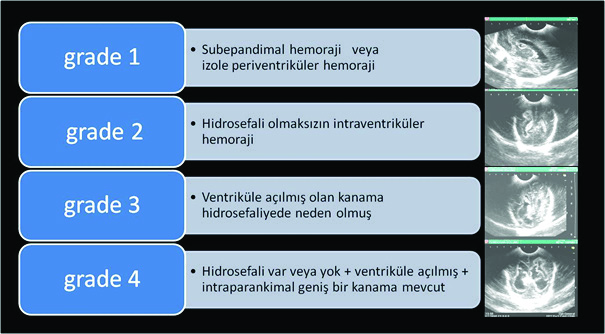 a. Yenidoğan ve infantlarda baş çevresi (BÇ) büyümesi en belirgin bulgudur. Prematür bebeklerde BÇ de patlama tarzında büyümeler olabilir. Zamanında doğan bir çocukda BÇ i 33-35 cm dir.