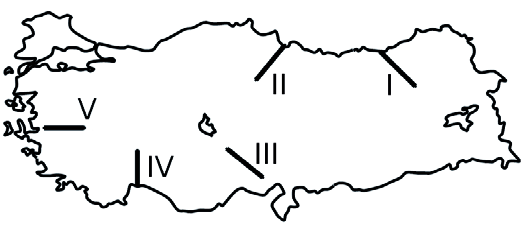 Deneme - 01 1. Enlemleri aynı olan Antalya ve 3. Kırıklı dağların bulunduğu yerlerde, Gaziantep için, I. yıl içerisindeki gölge boyları, II. çizgisel hızları, III. iklim özellikleri, IV.