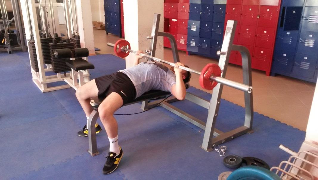 BENCH PRESS Kol arka kaslarından Triceps Brachii Göğüs