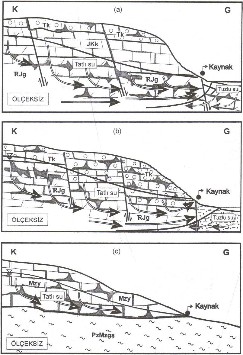 Şekil 2. Çalışma alanındaki kaynakların çıkış mekanizmaları (a) Azmak grubu kaynakları, (b) kıyı kaynakları, (c) plato kaynakları. Figure 2.