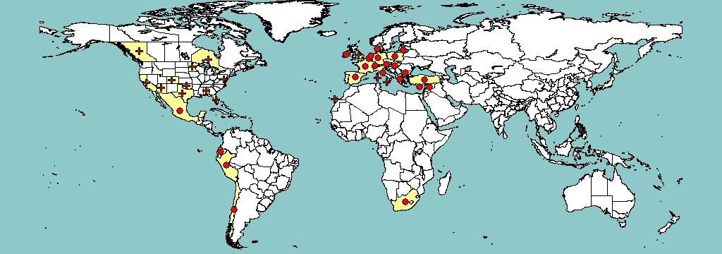 Şekil 2. PepMV nin domates yapraklarında oluşturduğu parlak sarı lekeler (Hasiow-Jaroszewska ve ark. 2010).