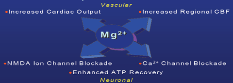 Magnezyum Hipotermi İlk 2