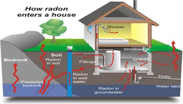 Radon Doğal radyasyon kaynaklarından dolayı canlı organizmaların maruz kaldığı radyasyon dozları içerisinde radon ilk sırada