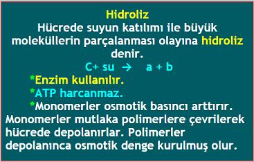 7 Genel Metabolizma (Canlılık) Olayları Metabolizma : Bir hücrede gerçekleşen her türlü canlılık olaylarıdır. Canlılık olayları yapım ve yıkım olaylarının tümüdür.