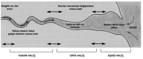 Köksal ve diğ. / E.Ü. Su Ürünleri Dergisi 22 (1-2): 241 249 243 temin eden ve denizle açık dolaşımı sağlayan kıyı suyudur.