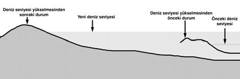 Köksal ve diğ. / E.Ü. Su Ürünleri Dergisi 22 (1-2): 241 249 247 yerden su geri çekilir. Alçak gelgitsel (cezir) düzlükler, gelgit döngüsünün büyük bir kısmında suya batmışlardır.