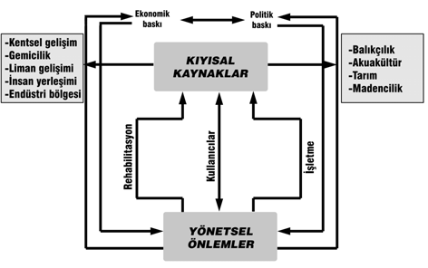 248 Köksal ve diğ. / E.Ü. Su Ürünleri Dergisi 22 (1-2): 241 249 Şekil 13b. Yerel fırtınalarla oluşan sahil değişikliği (Pilkey ve diğerleri, 1975 den değiştirilerek alınmıştır).