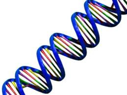 Salgına neden olan bakterinin teşhisinde DNA parmak izi (DNA fingerpirnt patterns) ve darbeli alan jel elektroforez (pulsed-field gel elctrophoresis) yöntemi kullanılmış ve L.