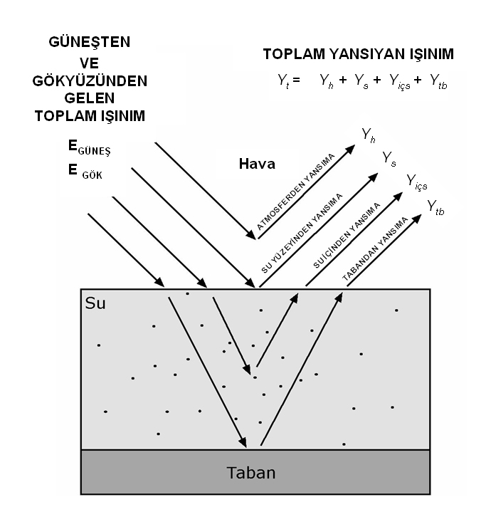 Şekil 2.4: Su ile örtülü bir bölge üzerinde, bir uzaktan algılama sistemi tarafından kaydedilen elektromanyetik enerjinin bileşenleri (Jensen, 2000). 2.2.3.