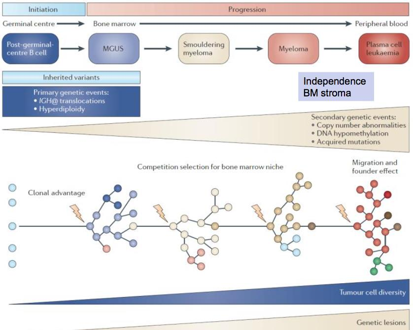 Morgan et al, Nat Rev Cancer