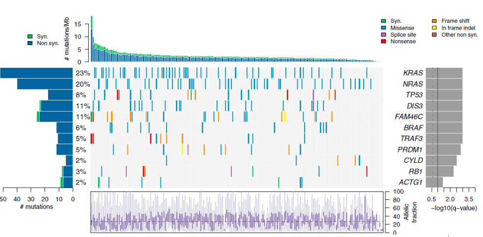 MM da genetik heterojenite Lohr et al, Cancer