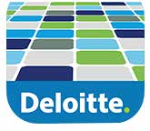 Deloitte App Center Şirkete özel veri paylaşım alanları oluşturuyoruz.