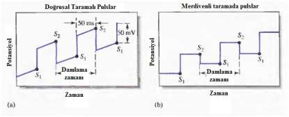 23 1. 2. 2. 1. Diferansiyel puls voltametrisi (DPV) Ticari diferansiyel puls polarografi cihazlarında kullanılan en yaygın iki uyarma sinyali ġekil 1. 11. de verilmiģtir.