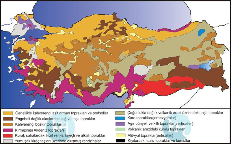 Bitkiler ve hayvanlar toprağa göre dağılım gösterirler. Aynı iklime sahip bölgede birden fazla toprak çeşidi bulunabilir.