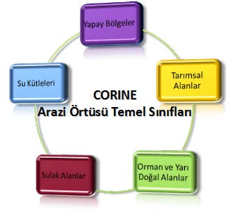 2.Çevresel Bilgiler Önemli Habitatlar ALAN TANIMI (Tanımlama) Önemli, tipik, ender habitatlar, biyotoplar veya topluluklar belirlenmelidir.