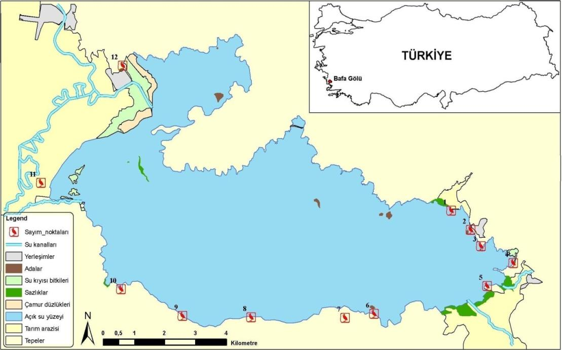 9 Şekil 3.2.