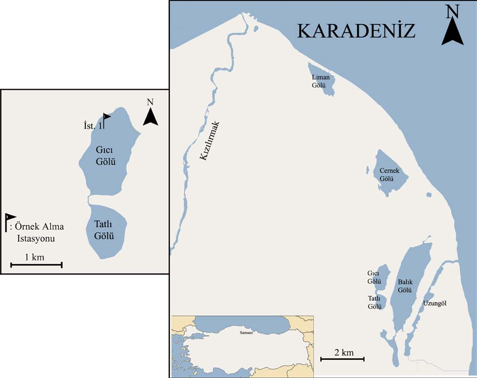 Şekil 1. Gıcı Gölü Haritası Figure 1. The map of Gıcı Lake Gıcı Gölü nde tespit edilen taksaonların büyük bir çoğunluğunu Bacillariophyta divizyosu oluşturmaktadır.