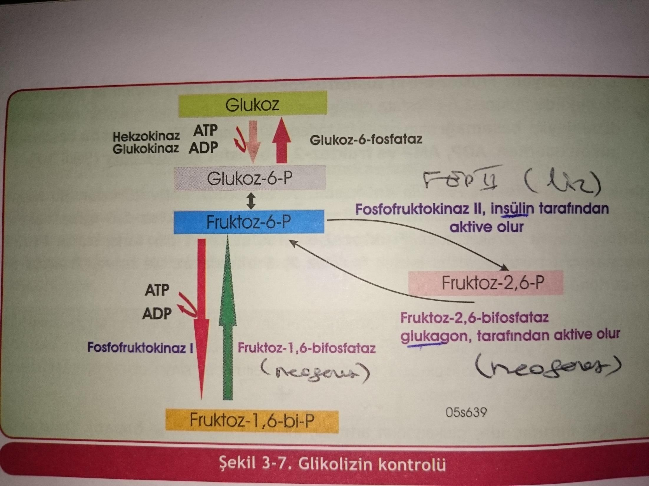 Şekil 2.