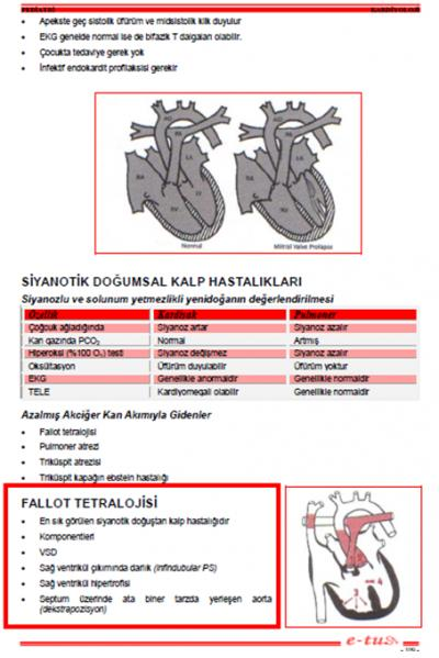 58. Fallot tetralojisi nedeniyle izlenen bir çocuk acil servise aniden morarmasının arttığı, şiddetli ağladığı ve solunumunun hızlandığı yakınmasıyla getiriliyor.