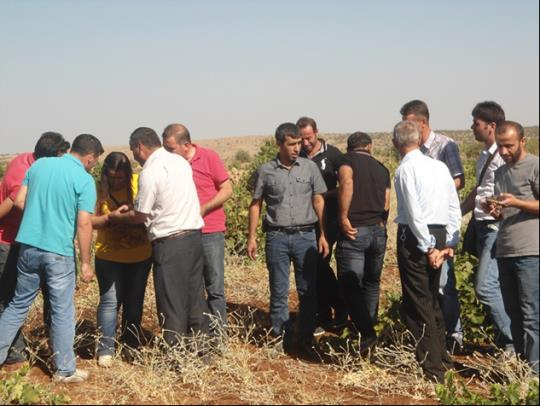 GAP-TEYAP dan Mehmet ALMAK ilimizde ekolojik pamuk a geçiş uygulamaları, uygulamada ortaya çıkan sorunlar ve çözüm önerileri, standartları konusunda bilgi vermiş ve bu konuda sorulan soruları