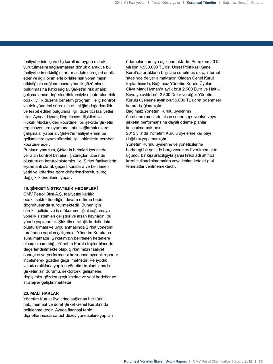 Şirket in risk analizi çalışmalarının değerlendirilmesiyle oluşturulan risk odaklı yıllık düzenli denetim programı ile iç kontrol ve risk yönetimi sürecinin etkinliğini değerlendirir ve tespit edilen