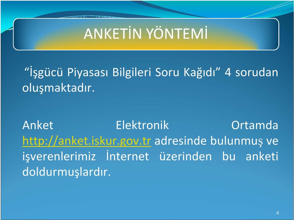 Anket Elektronik Ortamda http://anket.iskur.gov.