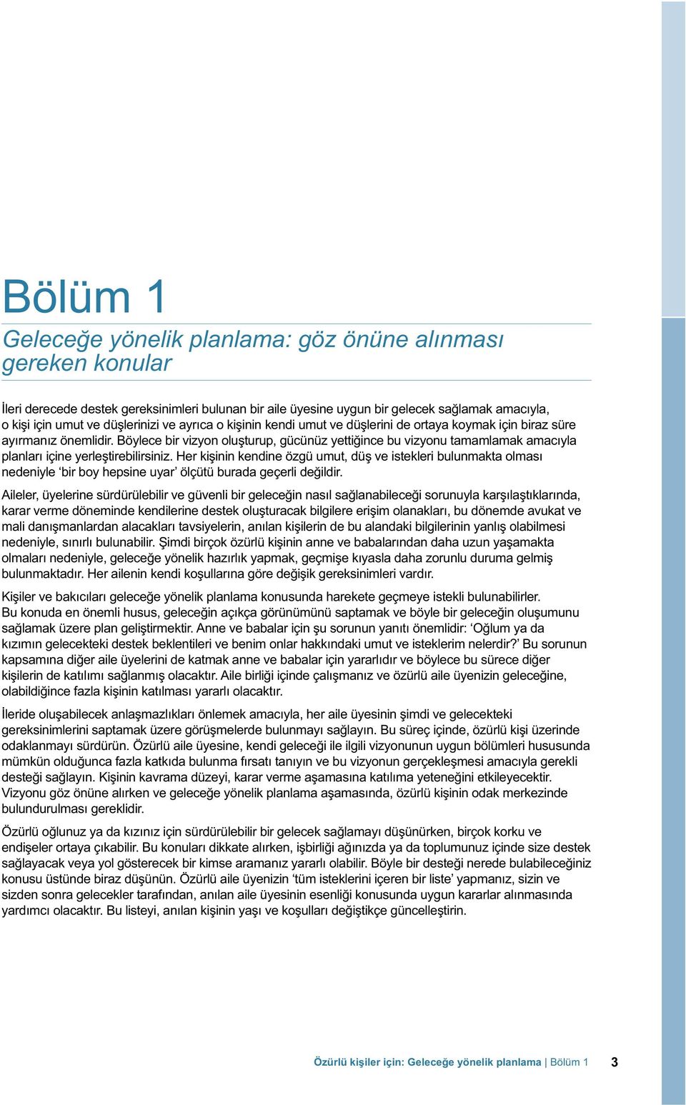 Böylece bir vizyon oluşturup, gücünüz yettiğince bu vizyonu tamamlamak amacıyla planları içine yerleştirebilirsiniz.