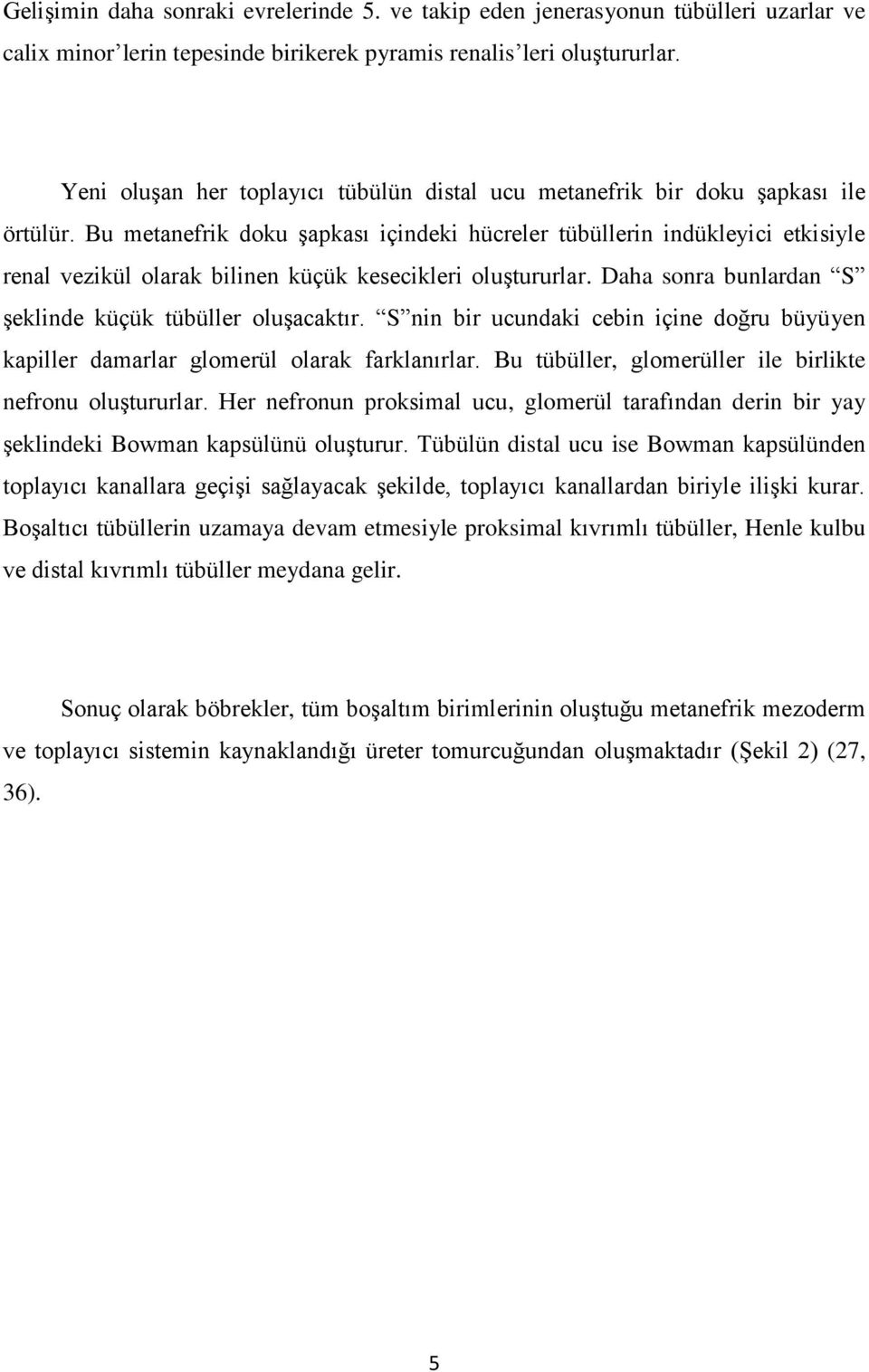 Bu metanefrik doku Ģapkası içindeki hücreler tübüllerin indükleyici etkisiyle renal vezikül olarak bilinen küçük kesecikleri oluģtururlar. Daha sonra bunlardan S Ģeklinde küçük tübüller oluģacaktır.