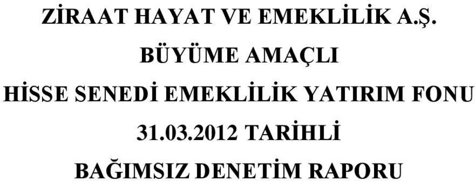 YATIRIM FONU 31.03.