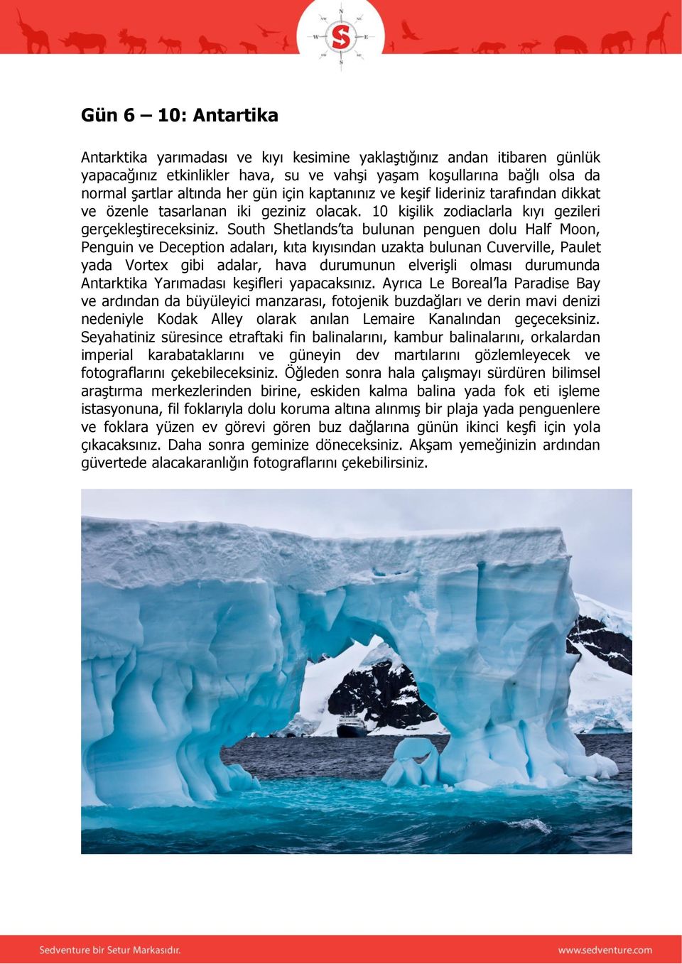 South Shetlands ta bulunan penguen dolu Half Moon, Penguin ve Deception adaları, kıta kıyısından uzakta bulunan Cuverville, Paulet yada Vortex gibi adalar, hava durumunun elverişli olması durumunda