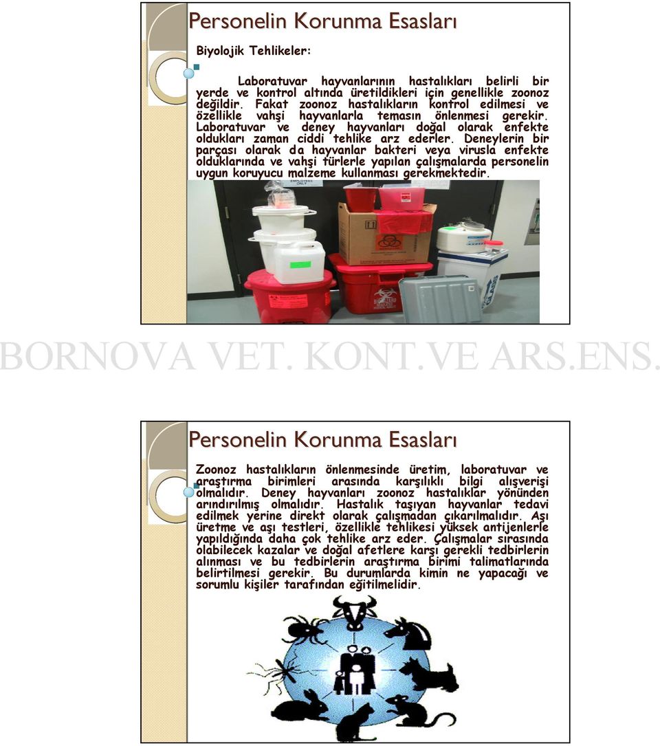 Deneylerin bir parçası olarak da hayvanlar bakteri veya virusla enfekte olduklarında ve vahşi türlerle yapılan çalışmalarda personelin uygun koruyucu malzeme kullanması gerekmektedir.