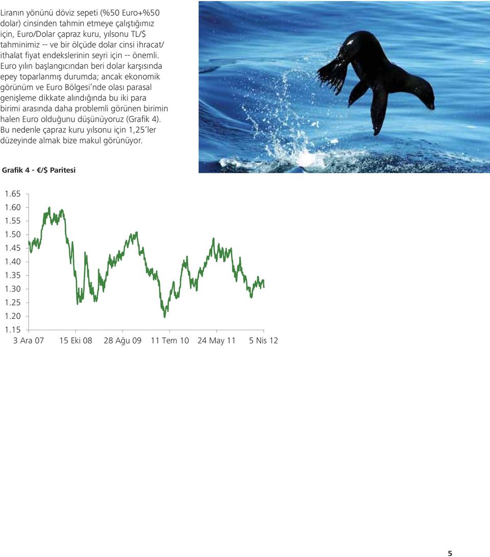 Euro yılın başlangıcından beri dolar karşısında epey toparlanmış durumda; ancak ekonomik görünüm ve Euro Bölgesi nde olası parasal genişleme dikkate alındığında bu iki para